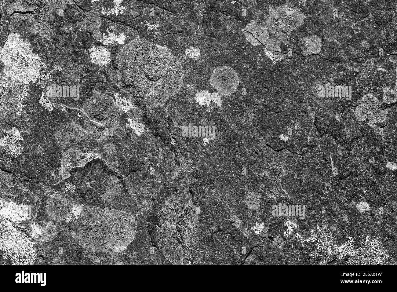 Stone wall grunge style textured close up background stained black and white monochrome image with an abstract lichen texture surface, stock photo Stock Photo