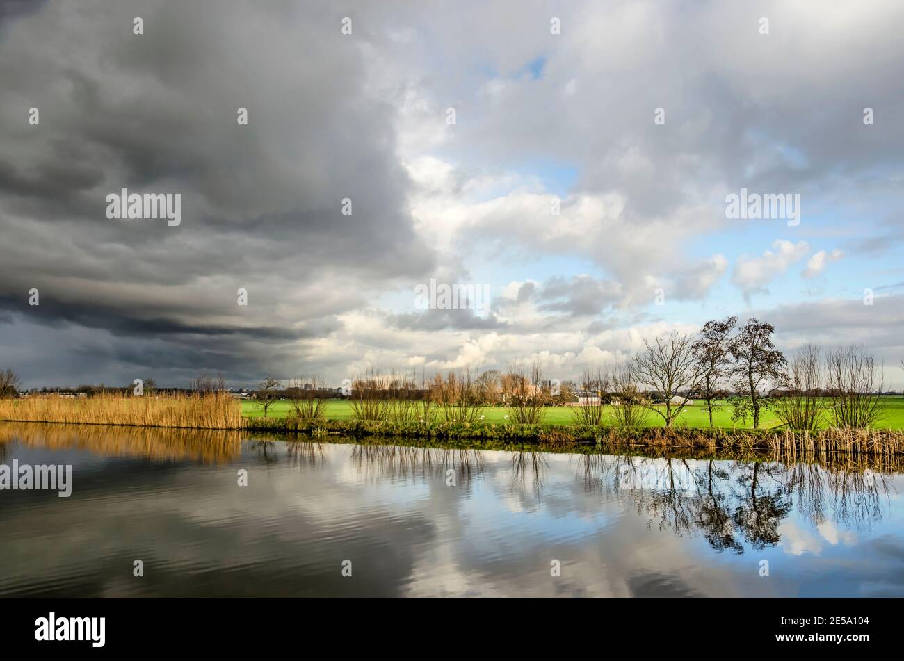 Dark clouds in a dramatic sky over the green polders between Schipluiden and Vlaardingen, The Netherlands on a winter afternoon Stock Photo