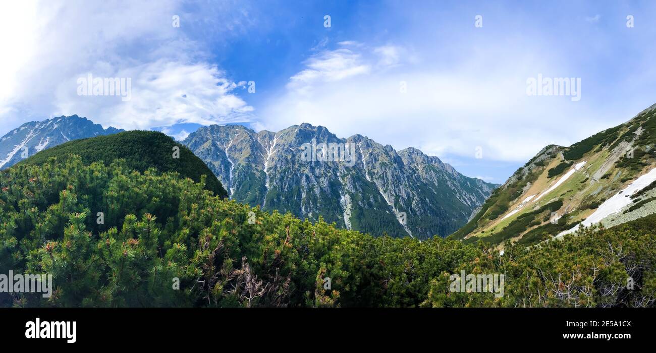 Picturesque woody terrain in the mountainscape background, the Tatra National Park in Poland Stock Photo