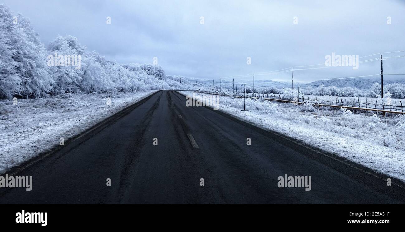 A sharp night cold snap led to the formation of a crust of ice and frost on trees and objects (white frost). Ice on the highway leads to traffic diffi Stock Photo