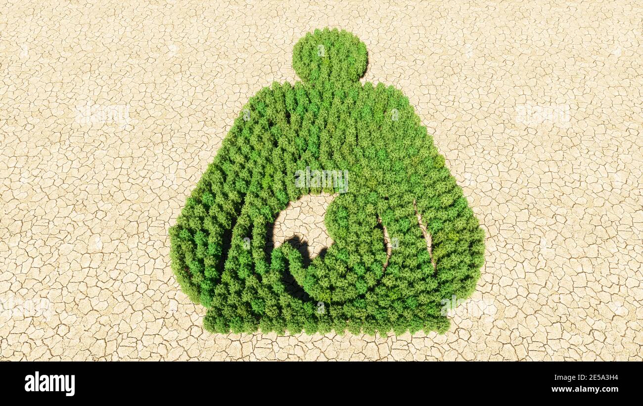 Concept conceptual group of green forest tree on dry ground background, sign of pregnant woman. A 3d illustration metaphor for motherhood, maternity Stock Photo