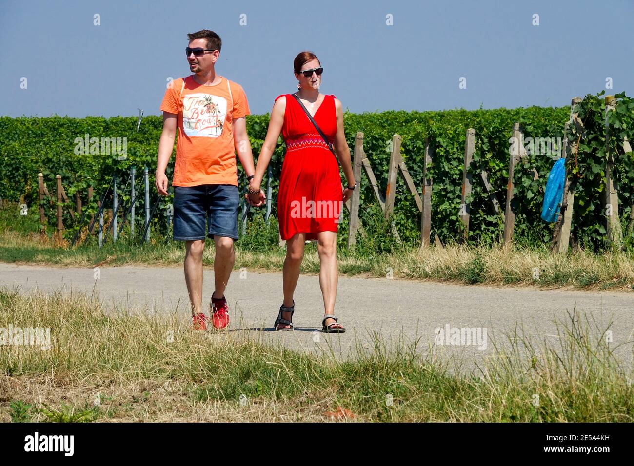 A young couple walking on a road between vineyards, holding hands South Moravia  Czech Republic young thirties Stock Photo