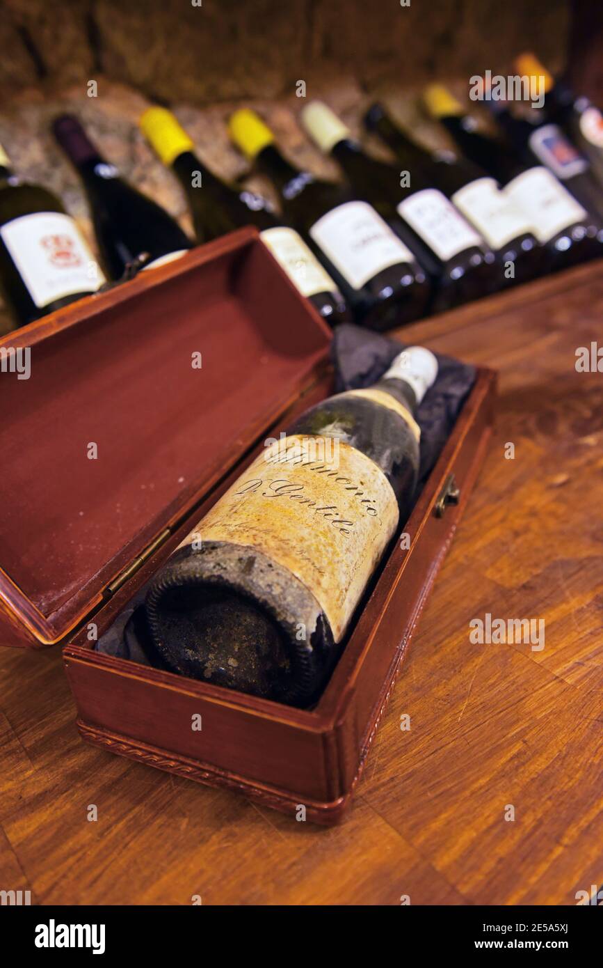 at a wine cellar, France, Corsica, Calvi Stock Photo Alamy