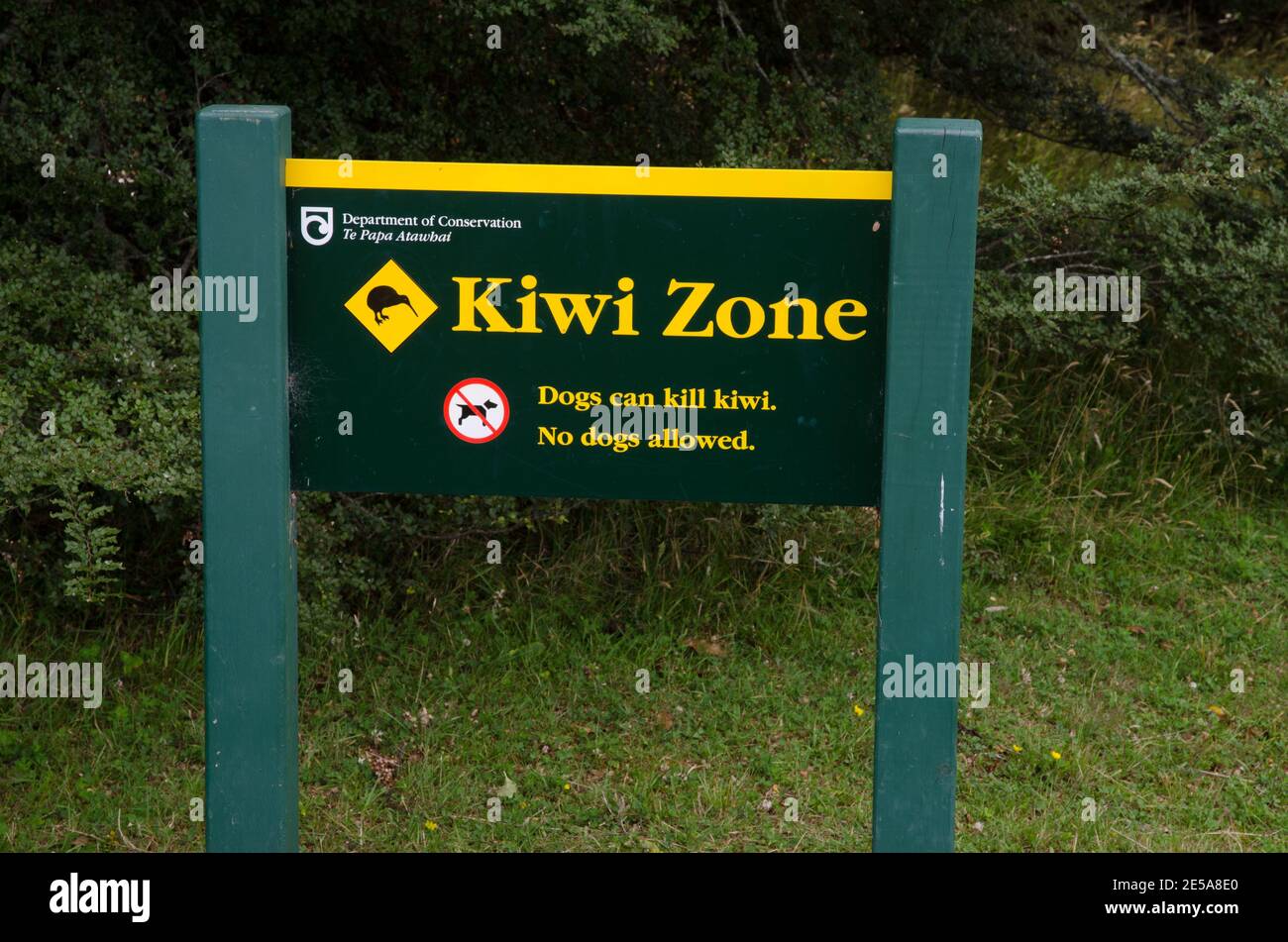 Caution signal by the kiwi presence. Fiordland National Park. Southland. South Island. New Zealand. Stock Photo