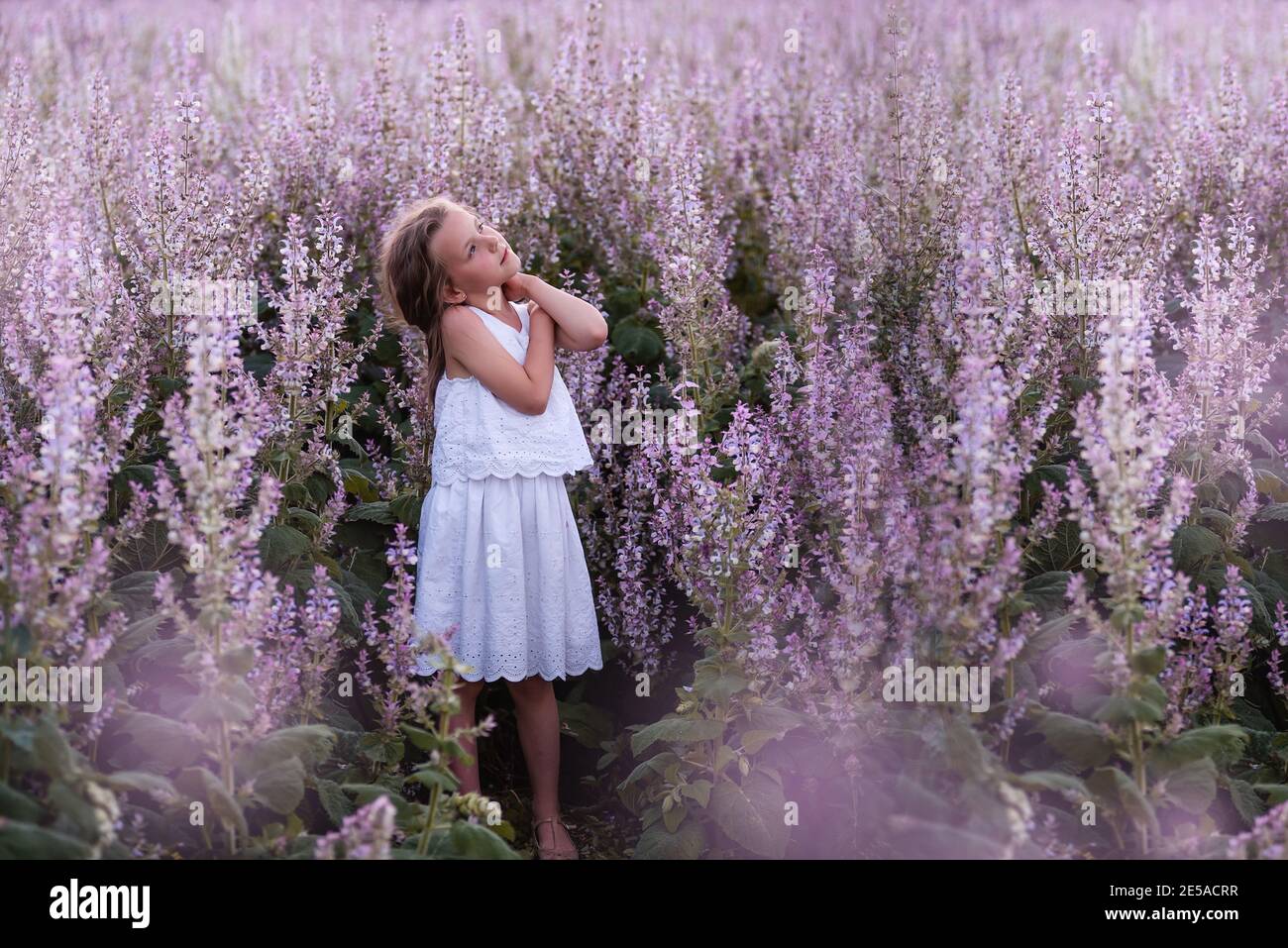 Close-up Portraits of a little girl with long flowing hair in blooming ...
