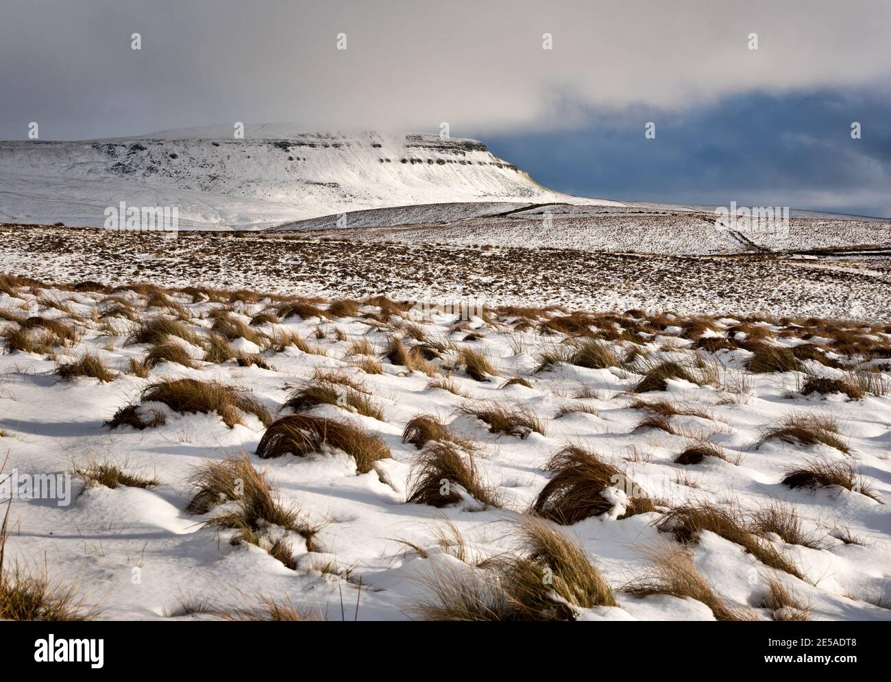 Pen-y-ghent peak in Winter, Horton-in-Ribblesdale, Yorkshire Dales National Park, UK. Stock Photo