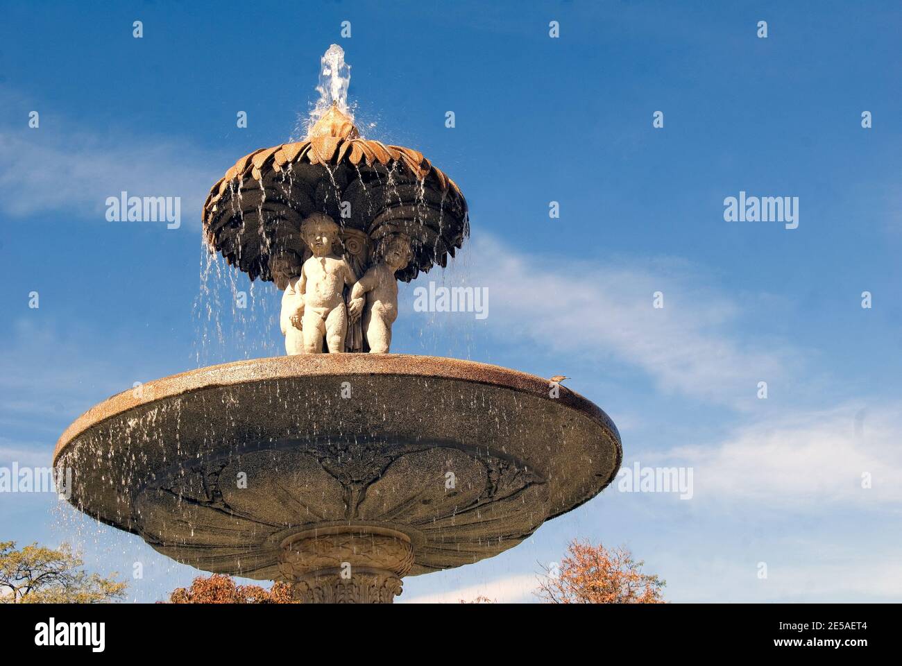La Alcachofa High Resolution Stock Photography And Images Alamy