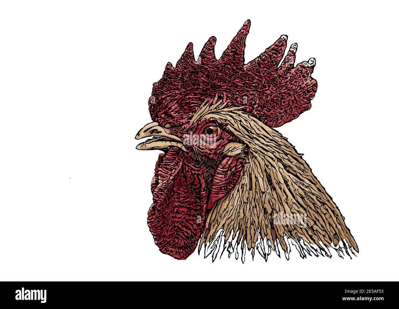 rooster head colored vector illustration Stock Photo - Alamy