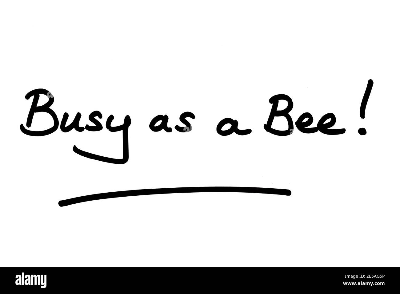 Busy as a Bee! handwritten on a white background Stock Photo Alamy