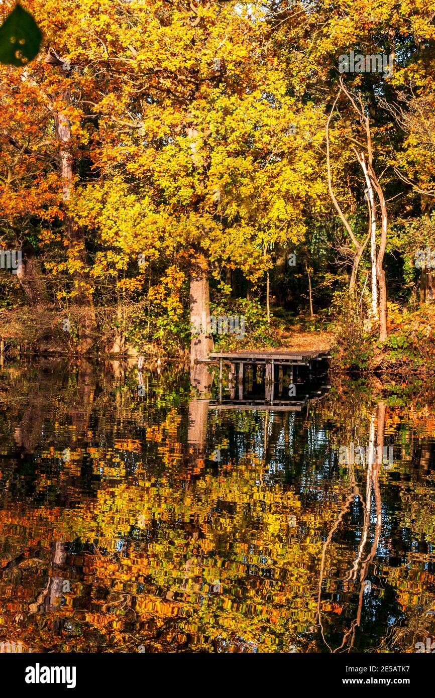 England October The beautiful autumn colours in England Stock Photo - Alamy