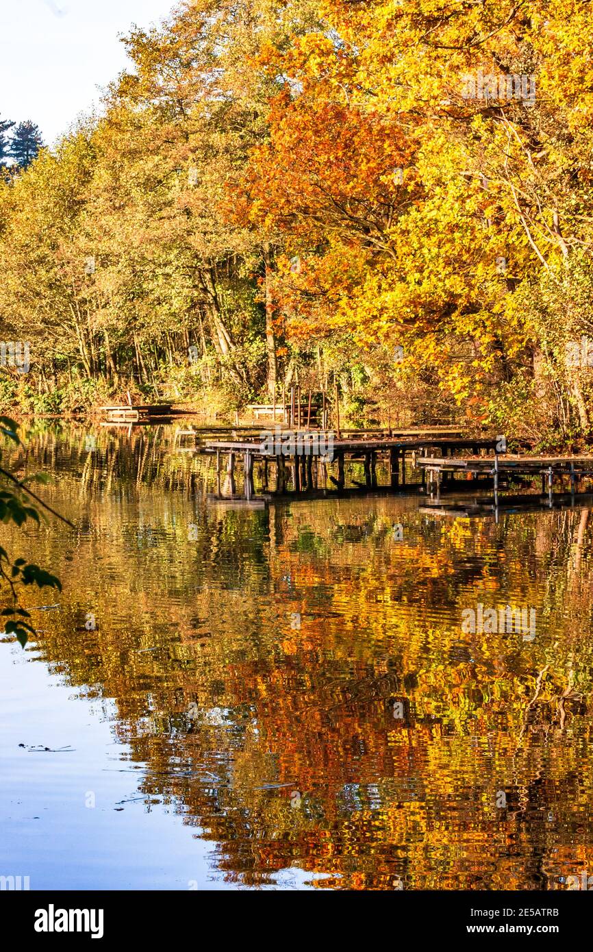 England October The beautiful autumn colours in England Stock Photo - Alamy