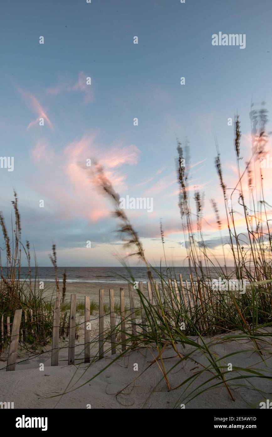 Sunset creates cotton candy skies over the sand dunes at Atlantic Beach, North Carolina. Sea oats sway in the breeze along the path that leads to the Stock Photo