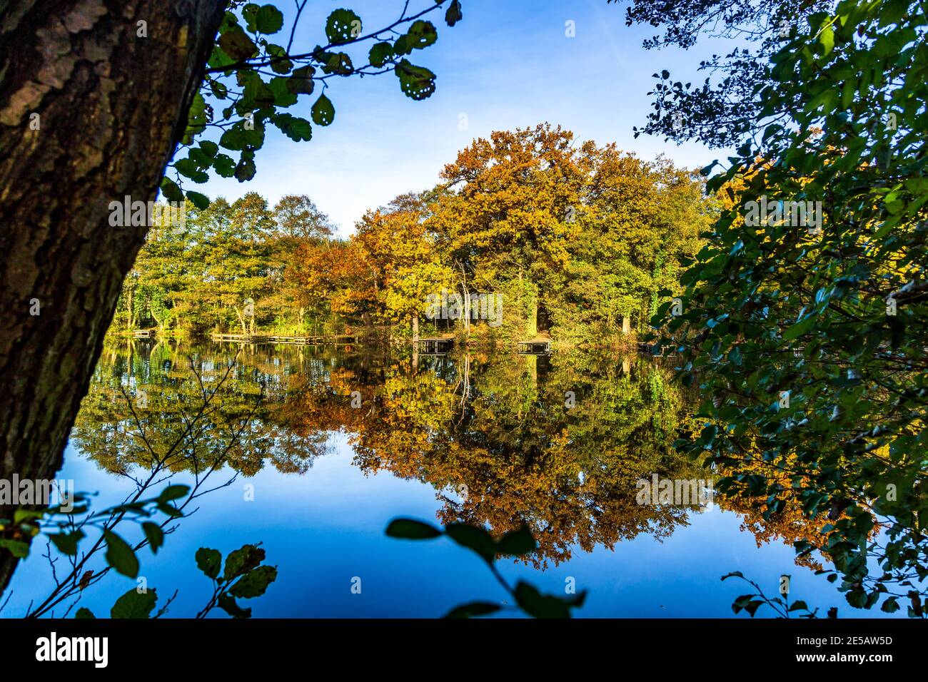 England October The beautiful autumn colours in England Stock Photo - Alamy
