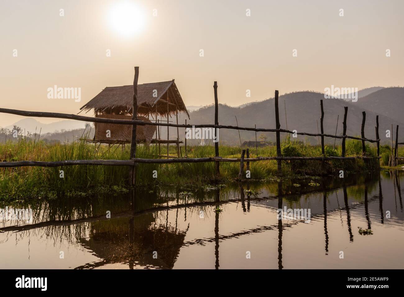 Boat tour in the floating gardens of Inle lake at sunset in Burma, Myanmar Stock Photo