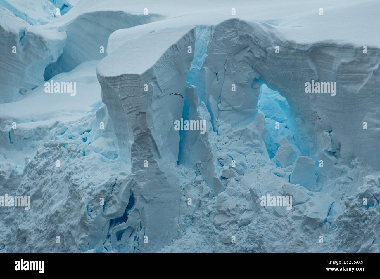 Icebergs And Glaciers From Prospect Point, Antarctica Stock Photo - Alamy