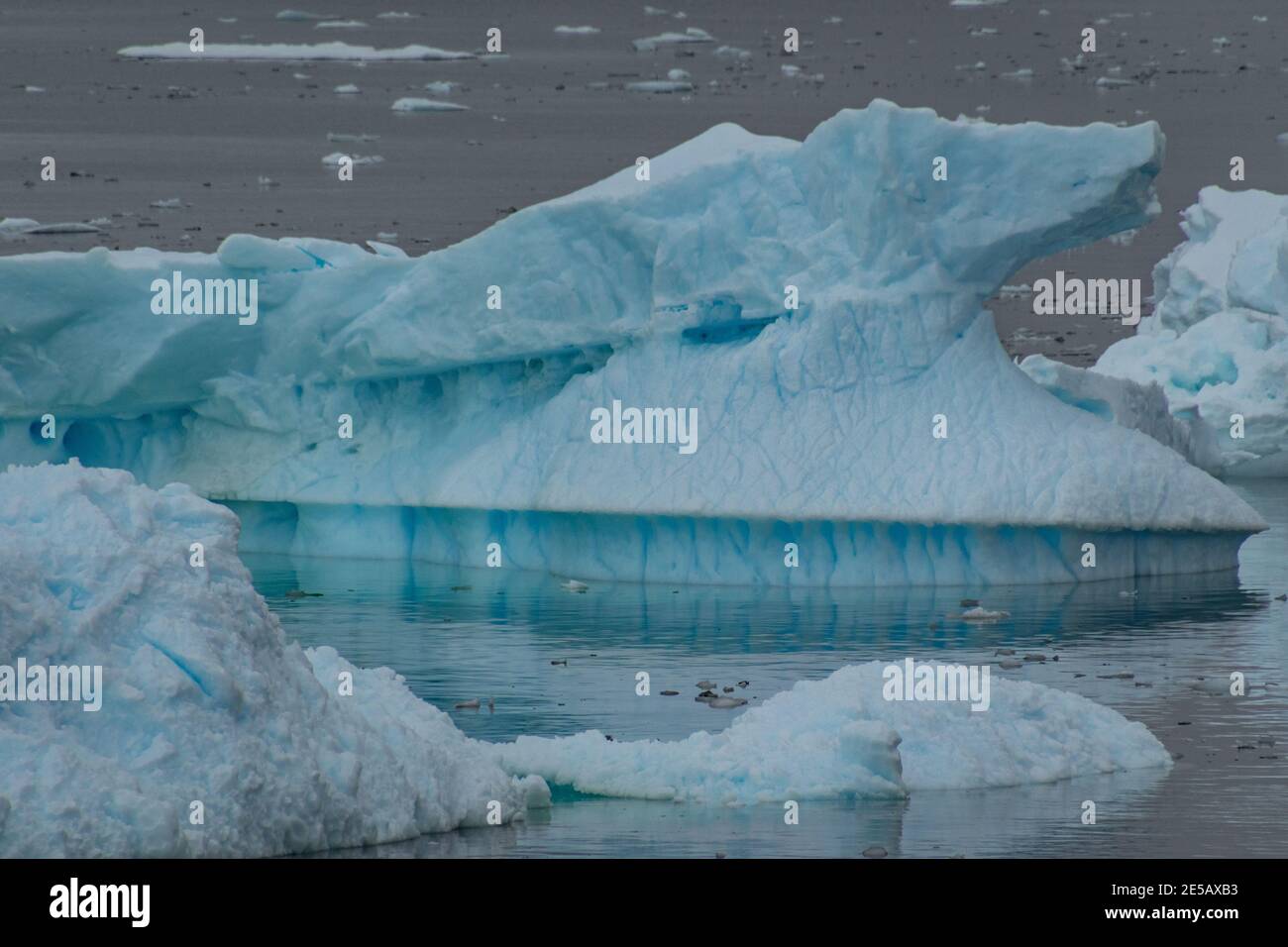 Icebergs and glaciers from Prospect Point, Antarctica Stock Photo Alamy