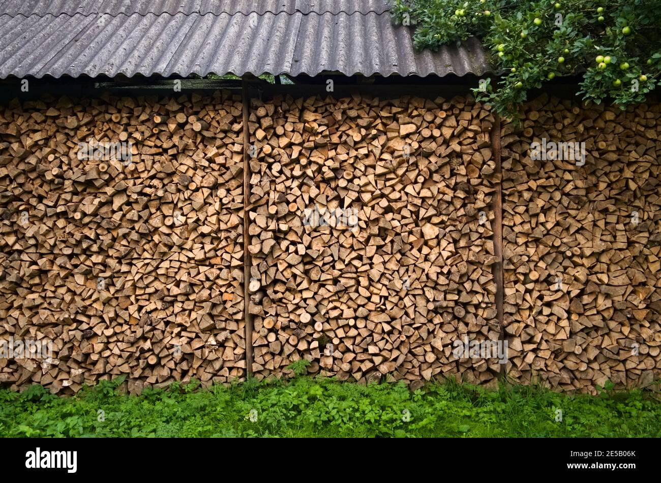 Stack of chopped firewood logs in a pile. Pile of firewood as along house wall under roof in small Ukrainian village. Ukraine Stock Photo