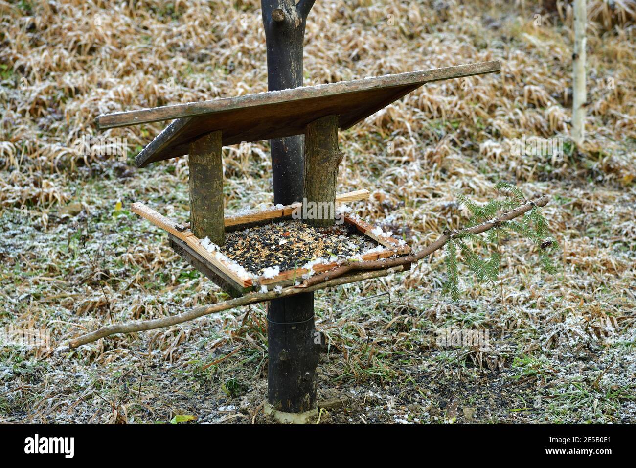 Hidden bird feeder hires stock photography and images Alamy
