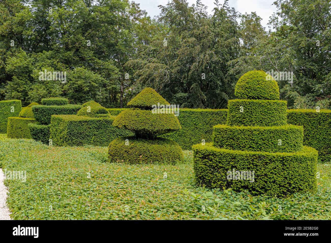 In a park in the southwest of France,  cut in topiaries bushes form an alley along the path. Stock Photo