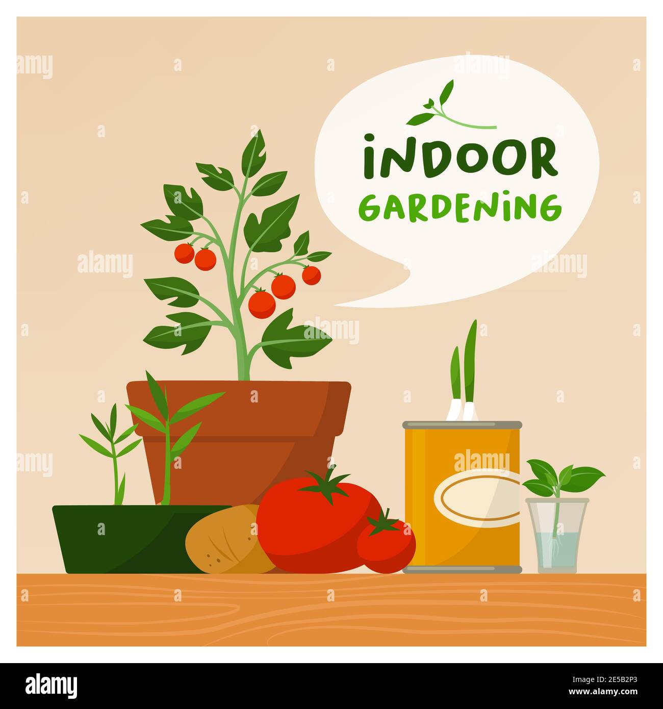 Indoor garening and sustainable lifestyle: home grown plants and vegetables Stock Vector