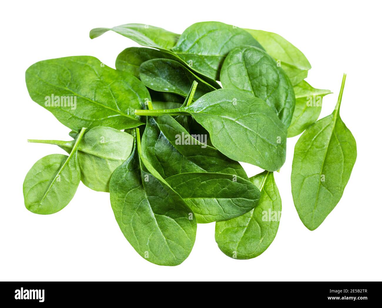 pile of fresh green leaves of Spinach leafy vegetable isolated on white