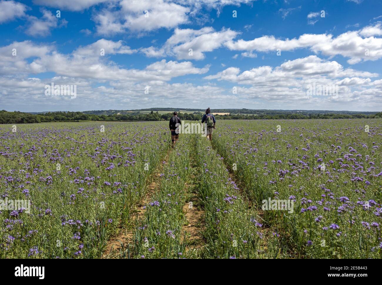 Environmental subsidy schemes hires stock photography and images Alamy