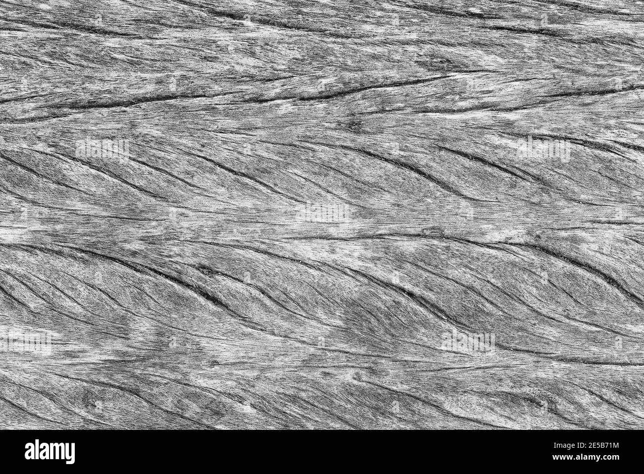 beautiful, black and white wood texture, background Stock Photo