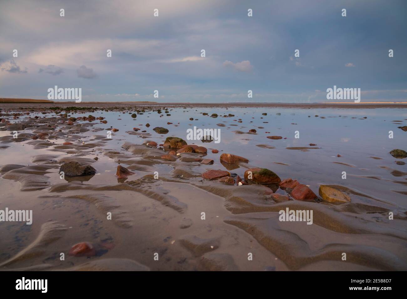 stones and water on the wet beach in Holland with cloudy sky as background Stock Photo