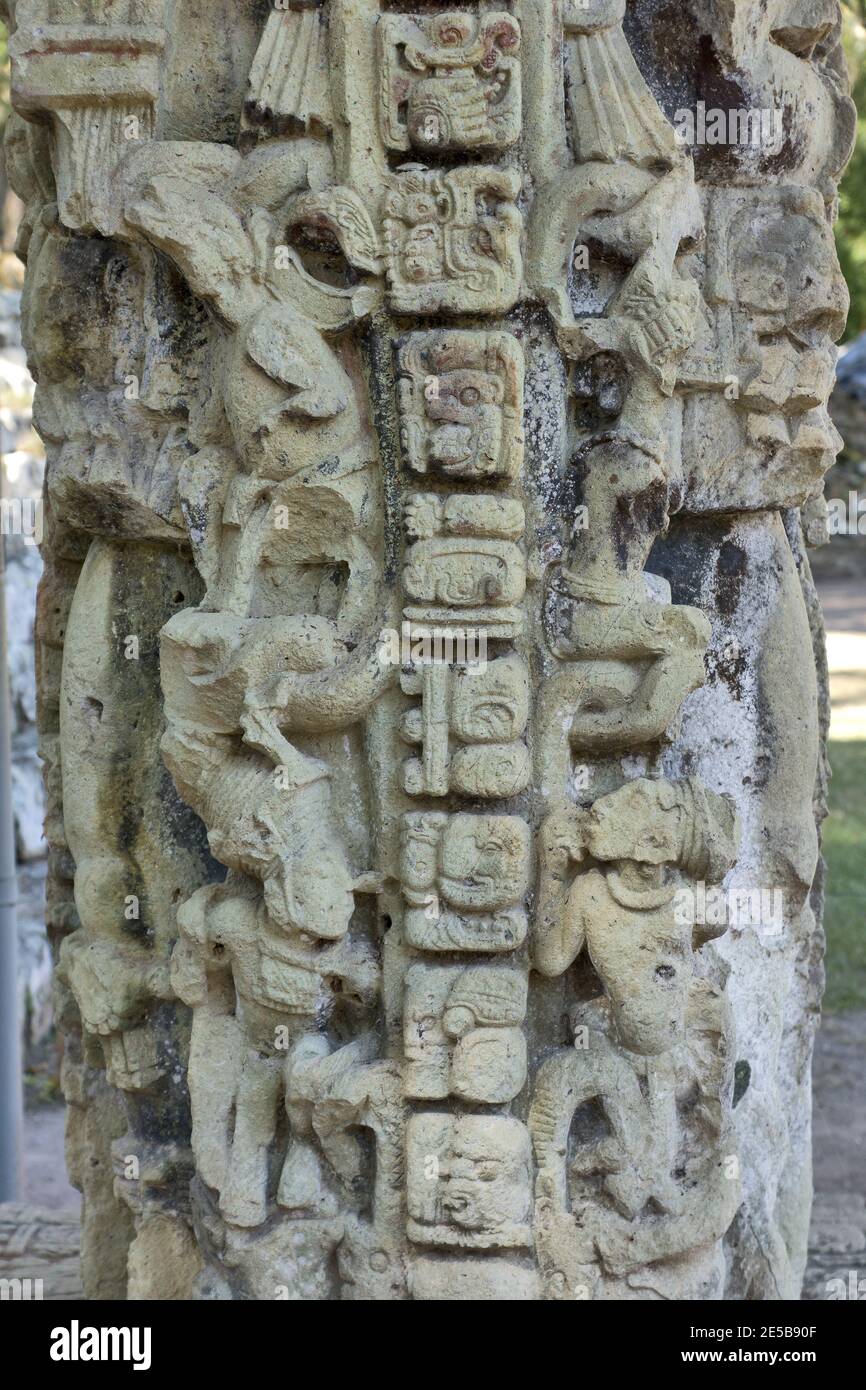 Copan, Honduras,  Central America: mayan hieroglyphs in Quirigua. Copan is an archaeological site of the Maya civilization near Guatemala Stock Photo