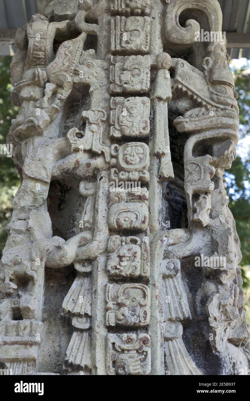 Copan, Honduras,  Central America: mayan hieroglyphs in Quirigua. Copan is an archaeological site of the Maya civilization near Guatemala Stock Photo