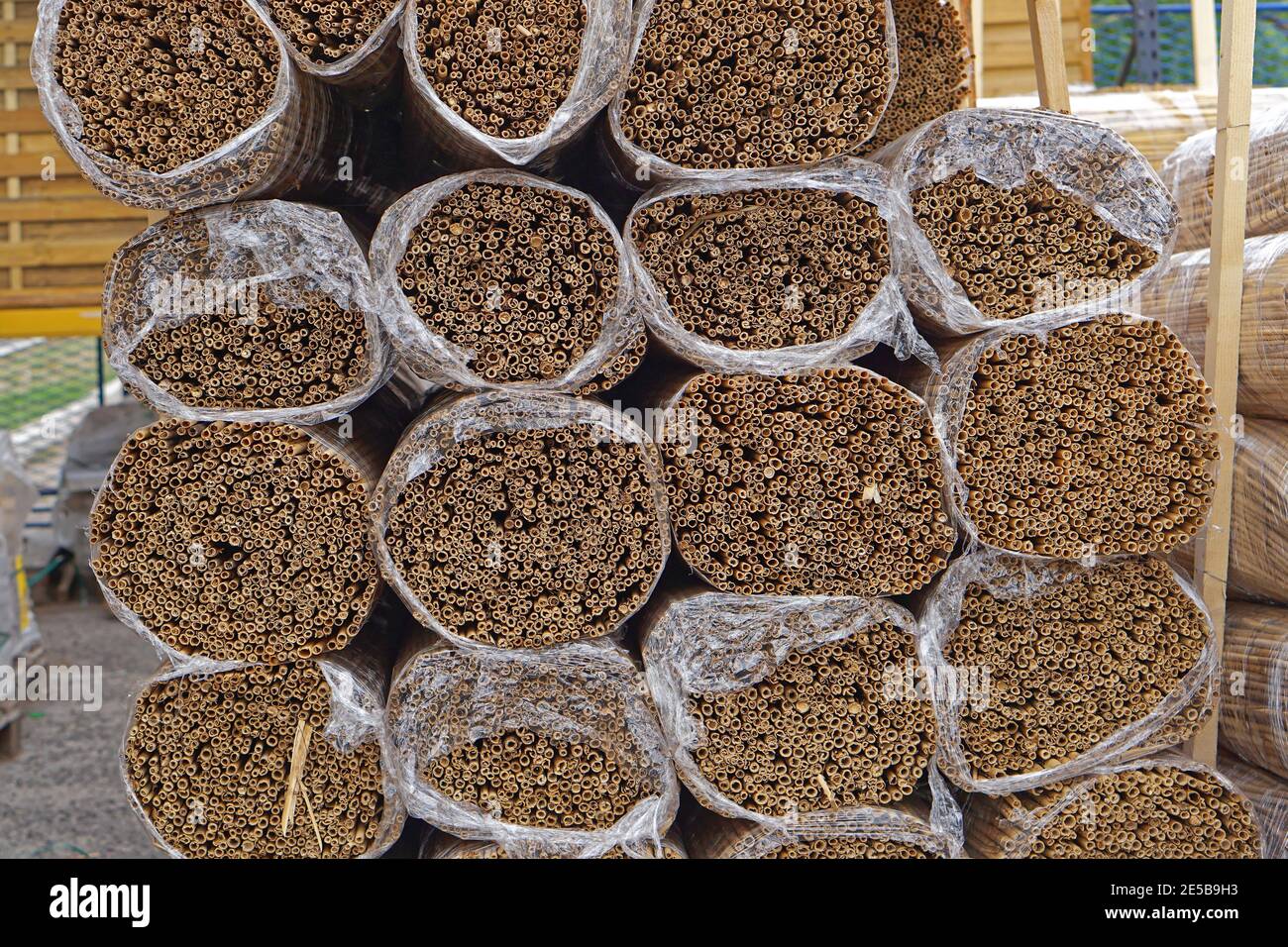 New reed material packed in bundles storage Stock Photo Alamy