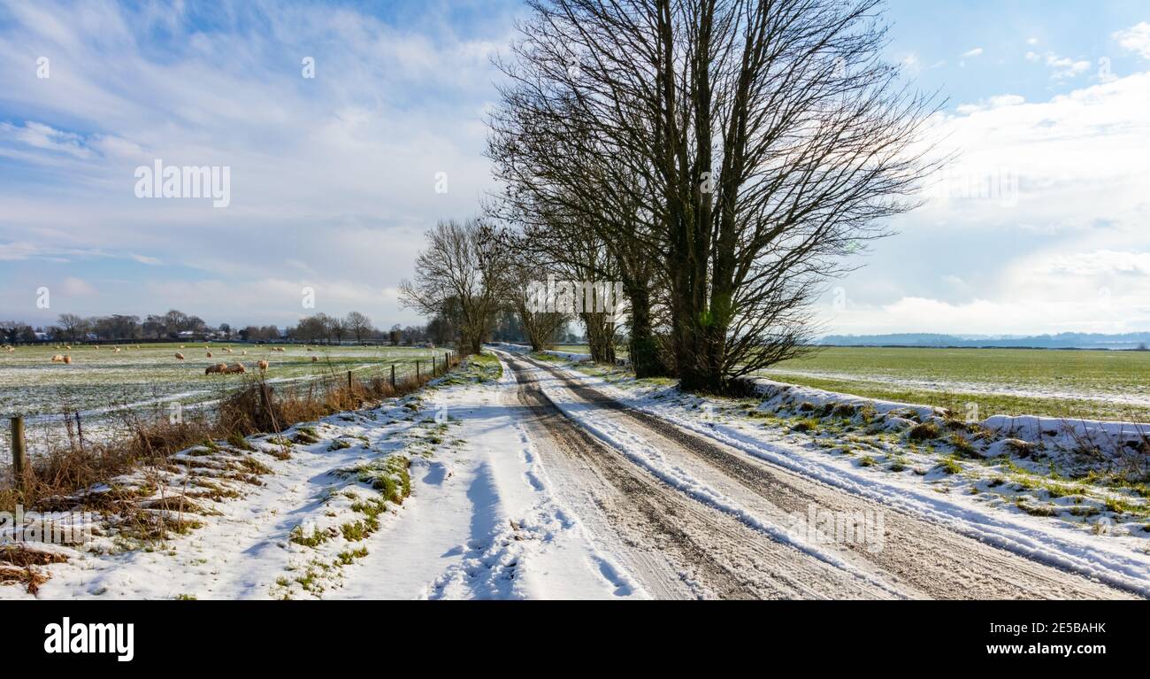 Winter in the Cotswolds, near Leighterton, Gloucestershire, England, United Kingdom Stock Photo