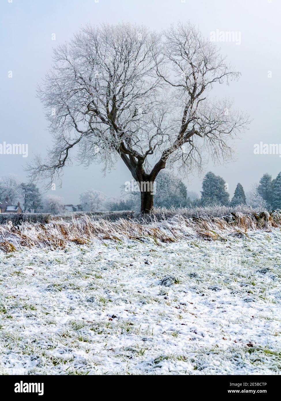 Winter view with frost covered trees and snow at Crich in the Amber Valley area of the Derbyshire Peak District England UK Stock Photo