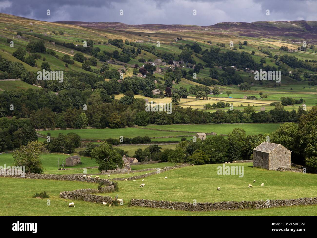 Panoramic View Of Swaledale Near The Village Of Low Row, Yorkshire 