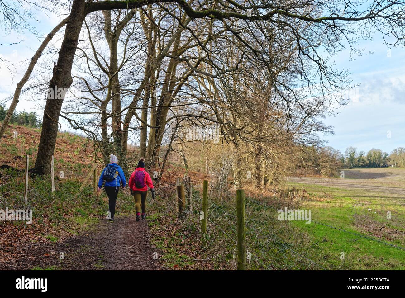 Rear view of two middle aged woman walking near the Pilgrims Way in the Surrey Hills near Dorking Surrey England UK Stock Photo