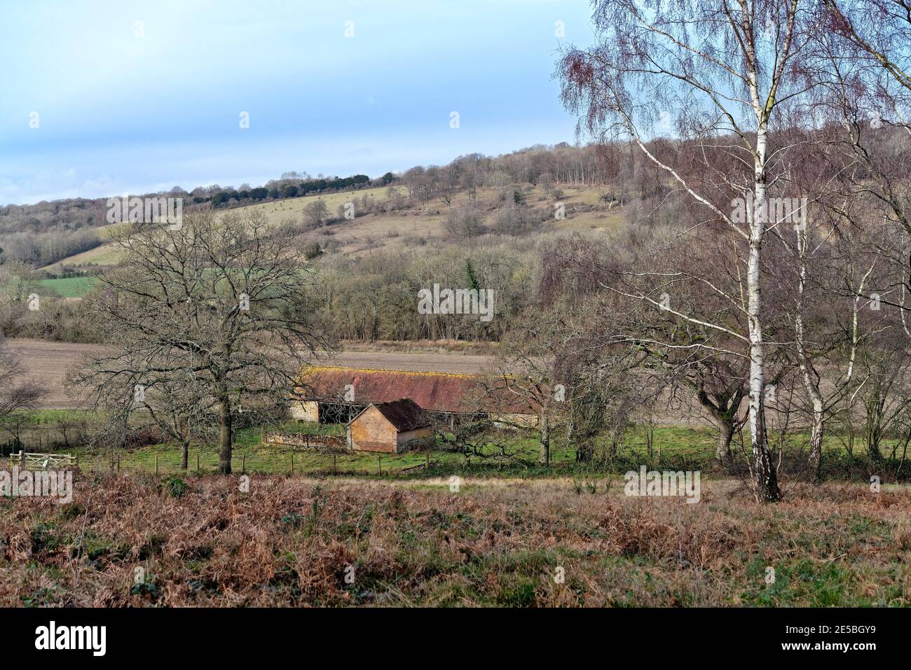 Old barn in the Surrey Hills at Abinger Roughs near Abinger Hammer ...