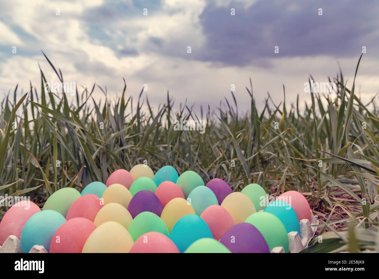 Easter still life with colored eggs Stock Photo - Alamy