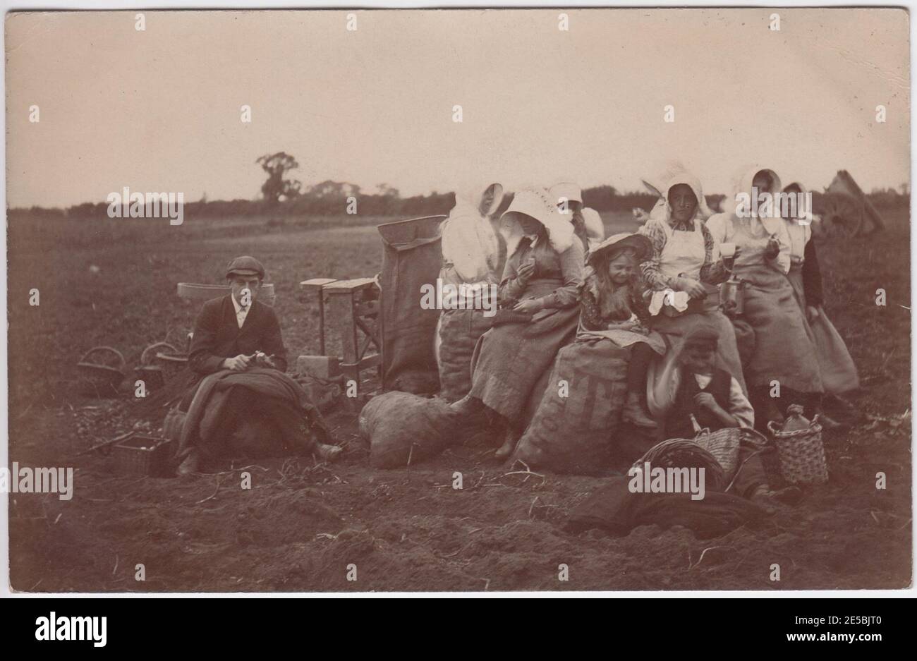 Potato pickers on a break: women & children agricultural labourers sitting down in the field, having food & drink (including cider flask & tea / coffee pot), early 20th century Britain Stock Photo