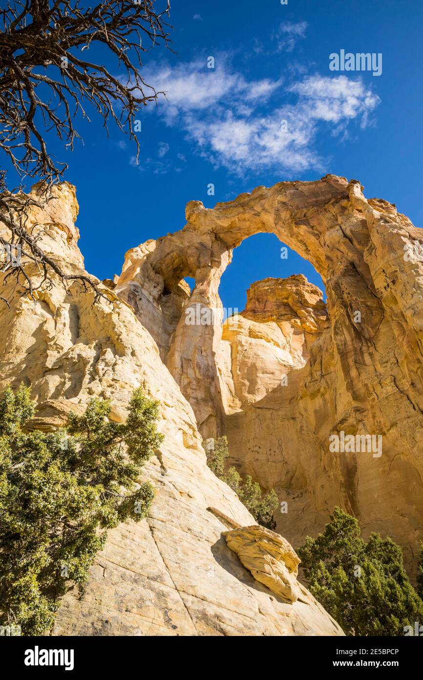 Grosvenor Arch, Grand Staircase-Escalante National Monument, Utah, USA. Stock Photo