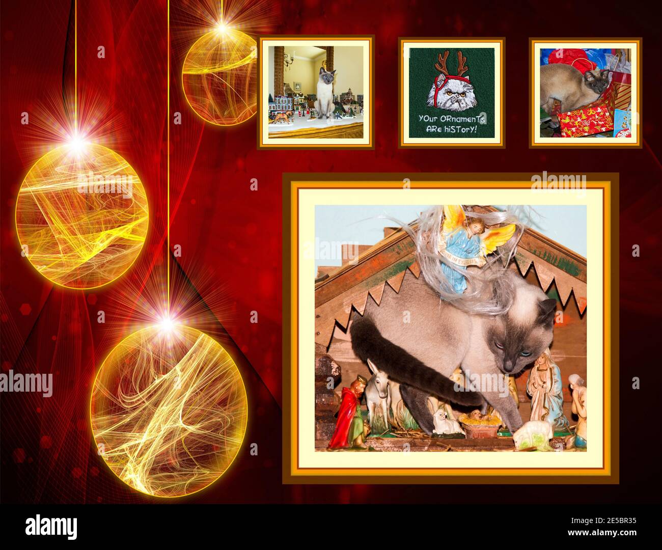 Christmas collage, cats, colorful, holiday, seasonal, feline, animals, pets, cute, PR Stock Photo
