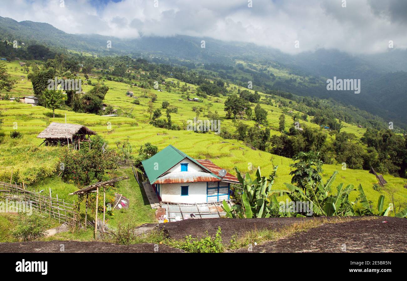 terraced fields of paddy field and primitive small house - Nepal Stock Photo