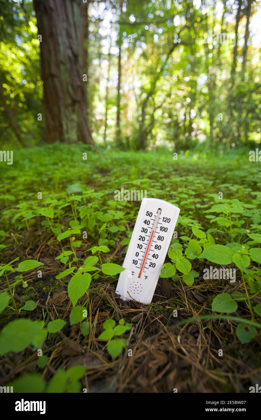 A conceptual image of a thermometer stuck in the ground showing a high temperature illustrating global climate change / global warming. Stock Photo