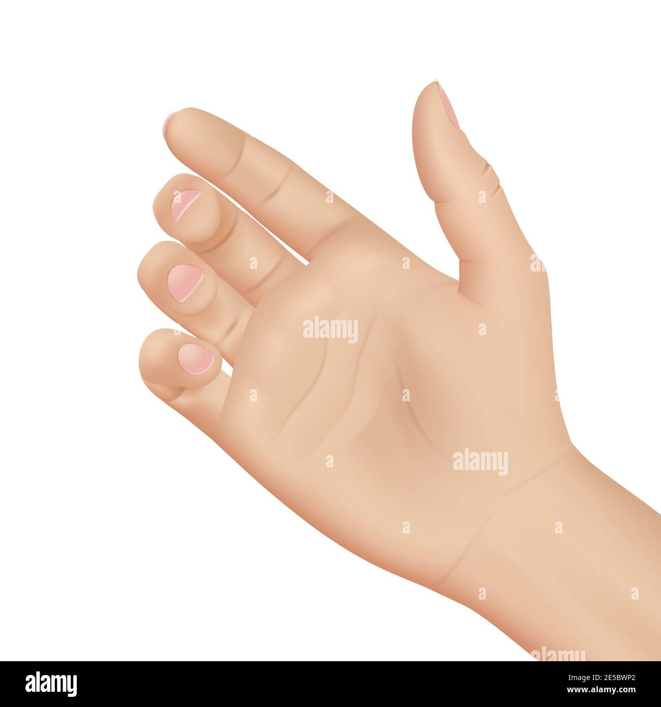 Woman hand on white background, realistic vector illustration close-up Stock Vector