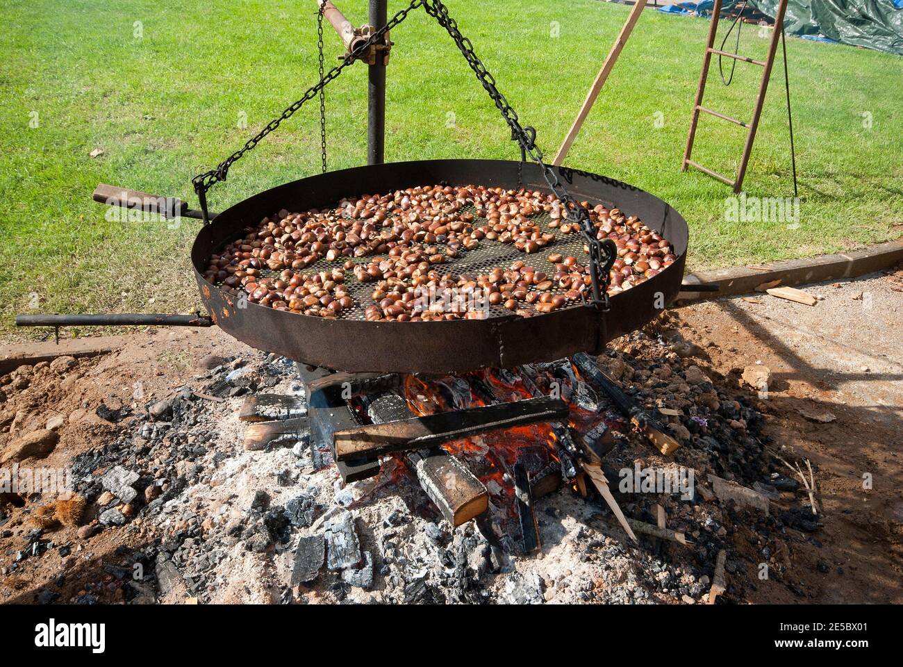 Chestnuts roasting on brazier during the Autumn Festival in Abbadia San Salvatore, Tuscany, Italy Stock Photo