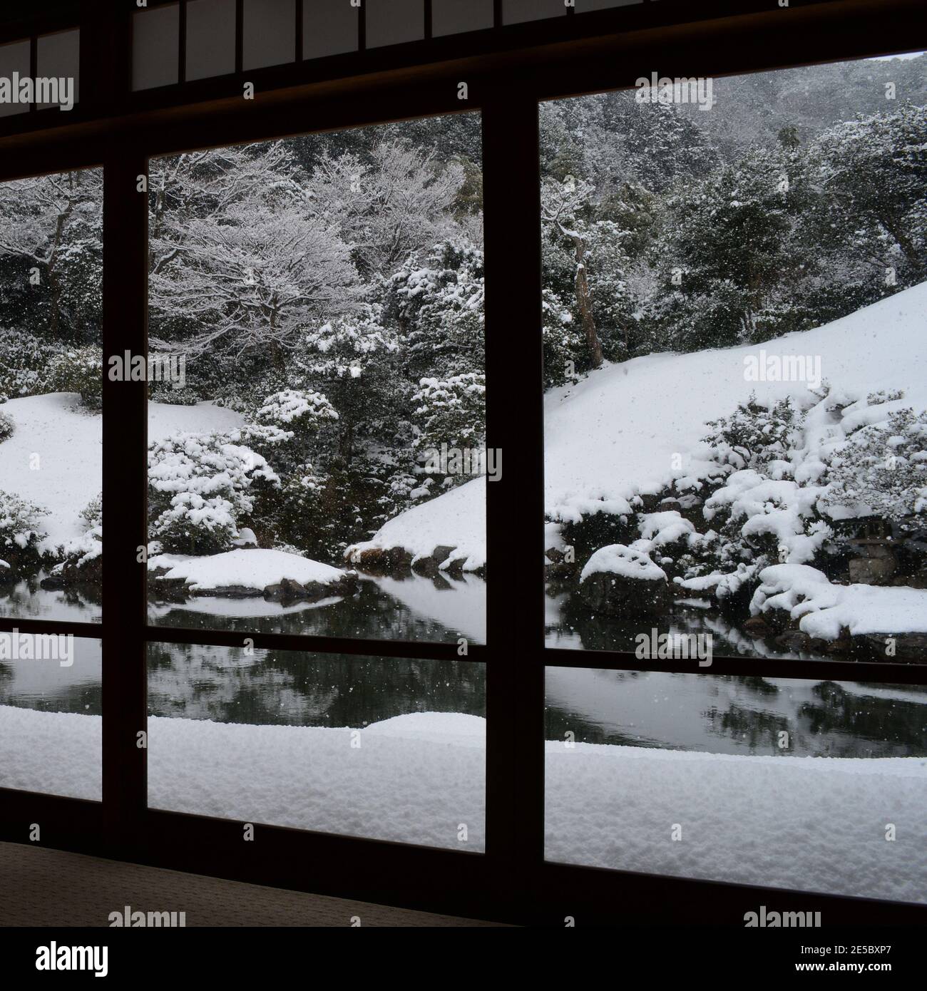 Japanese winter garden viewed from an inside traditional room with