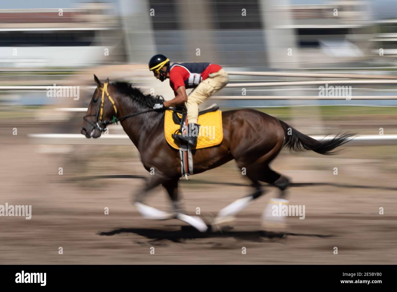 Hipico High Resolution Stock Photography And Images Alamy