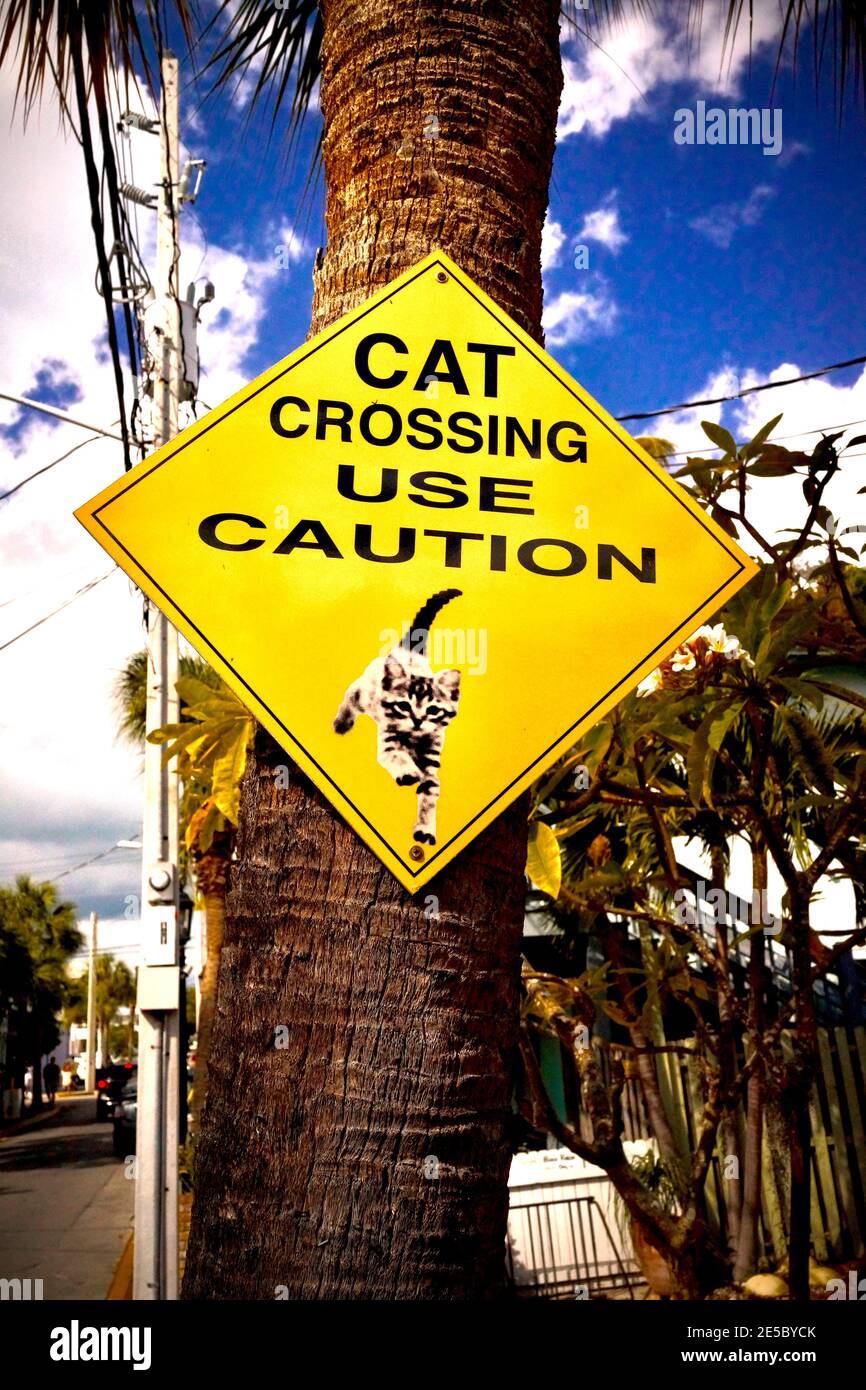 Cat Crossing sign in Key West, Florida, FL USA.  Southern most point in the continental USA.  Island vacation destination Stock Photo