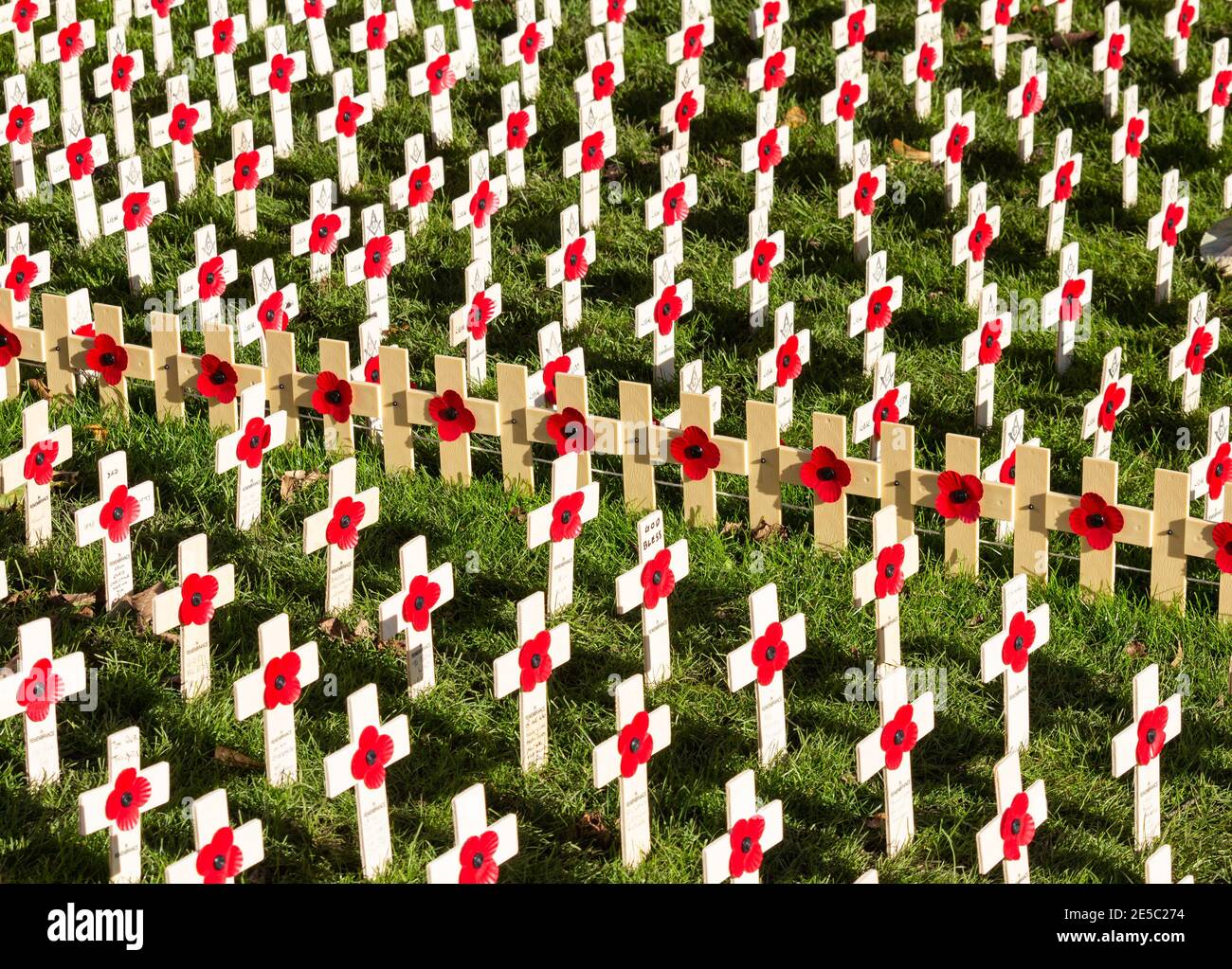 Poppies on wooden crosses. Poppy appeal Remembrance Day UK Stock Photo