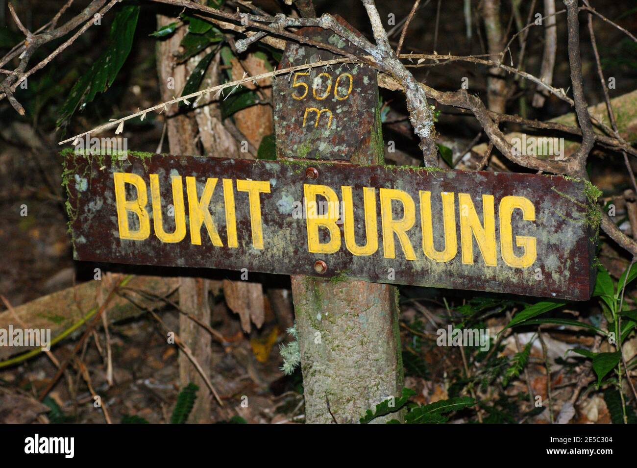 Signs Pointers In The Mount Kinabalu Kinabalu Park Malaysia Borneo Stock Photo Alamy