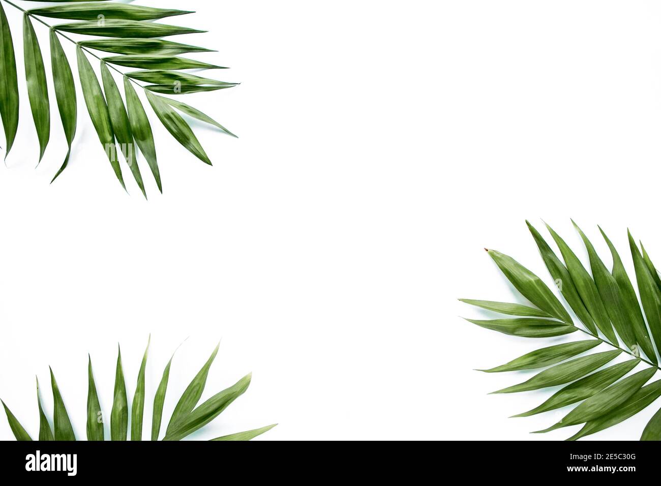 green palm leaf branches on white background. flat lay, top view Stock ...